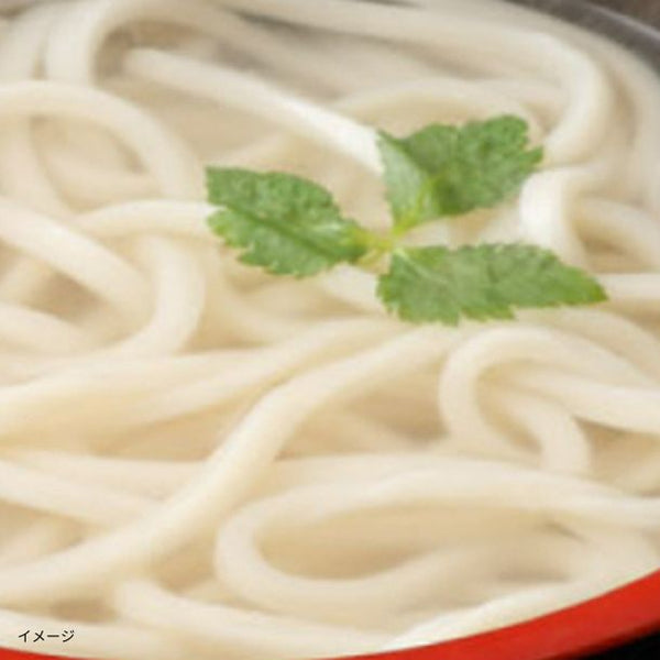 「訳あり半生極太讃岐うどん」