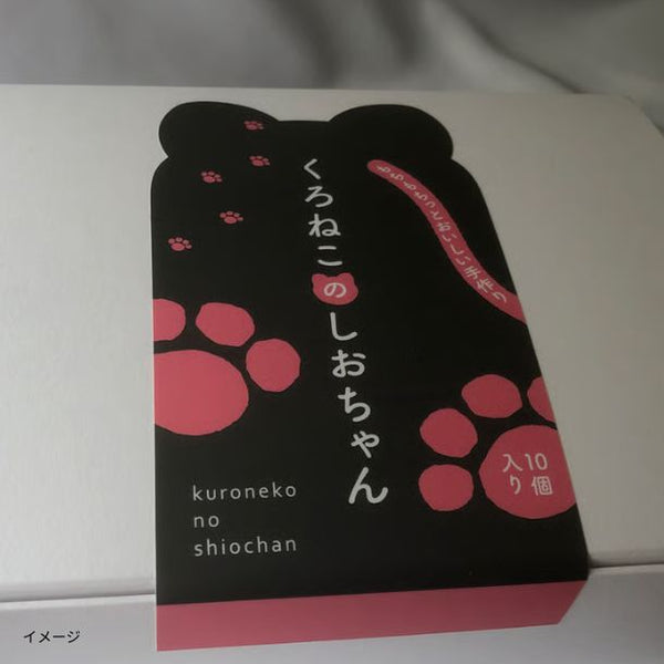 「くろねこのしおちゃん」