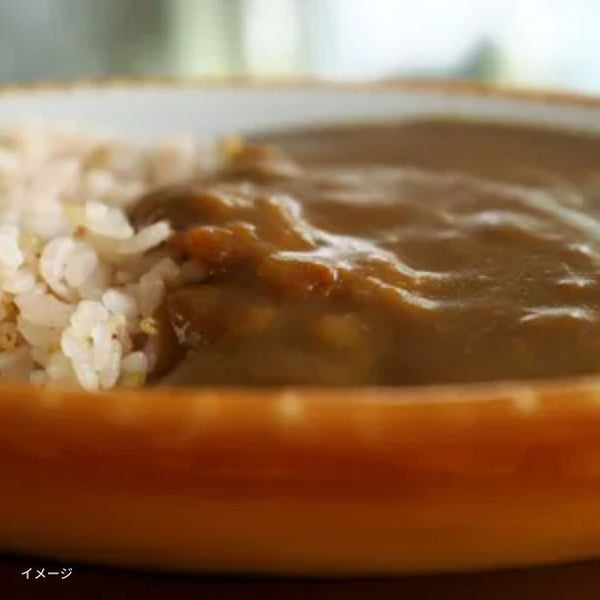 ドクター中松「がんがんカレー」（3パック入）
