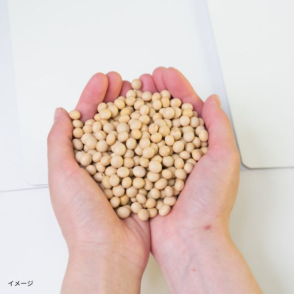 「ホクホクお豆の蒸し大豆」