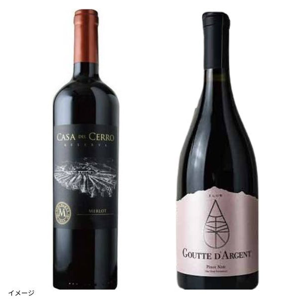 「ムートン・オーパス元醸造家が造る！日本酒酵母のピノノワール vs 通常酵母のメルロ飲み比べ」