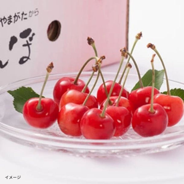 山形県産「訳ありさくらんぼ 品種おまかせ」
