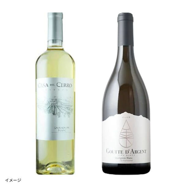 「ムートン・オーパス元醸造家が造る！日本酒酵母 vs 通常酵母のソーヴィニヨン・ブラン飲み比べ」