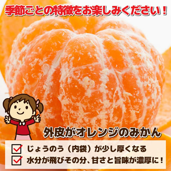 「産地おまかせ 特に訳ありみかん ジュース用・加工用」