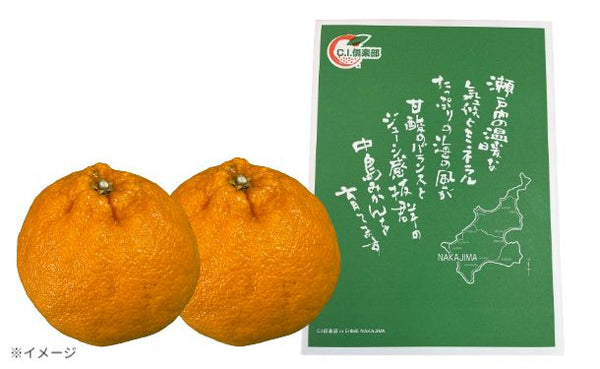 愛媛県産「不知火 化粧箱入り」約3kg 【クラチャレふるさとだより】
