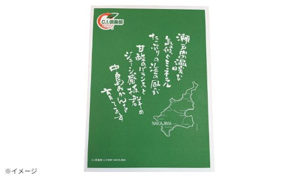 愛媛県産「不知火 化粧箱入り」約3kg 【クラチャレふるさとだより】