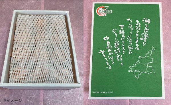 愛媛県産「不知火 化粧箱入り」約3kg 【クラチャレふるさとだより】