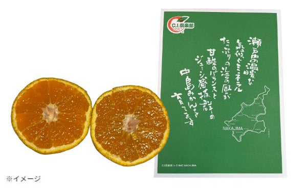 愛媛県産「訳あり 不知火 化粧箱入り」約3kg【クラチャレふるさとだより】