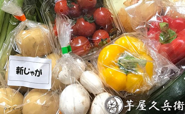 千葉県産・茨城県産「旬の野菜詰め合わせセット 12品目」