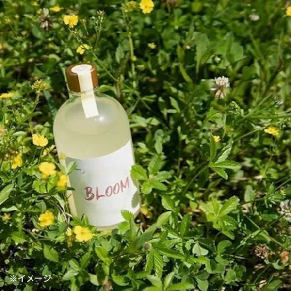 「BLOOMクラフトサケ」