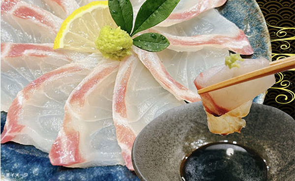 沼津産「マダイ刺身」