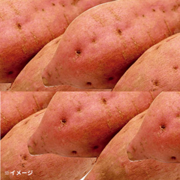 「房総野菜 安納芋」