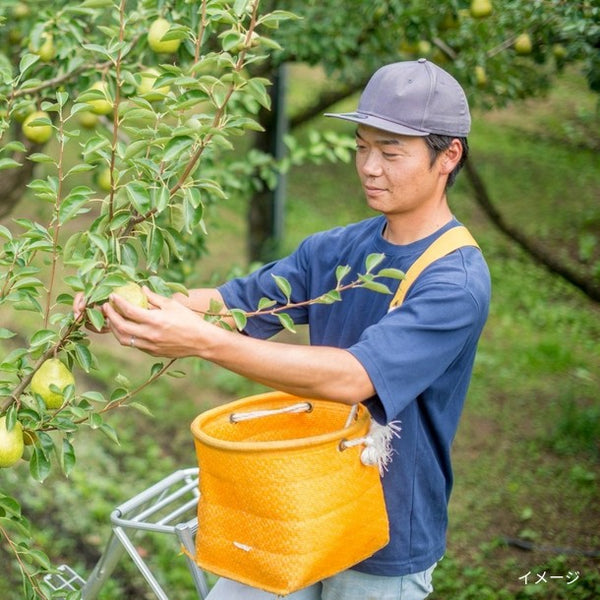 山形県産「秀品 ラ・フランス＆りんご詰合せ」