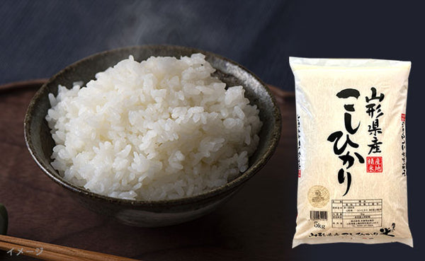 「令和7年産 山形県産 こしひかり」