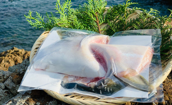 「百年漁師の鰤 カマ（サイズ不揃い）」