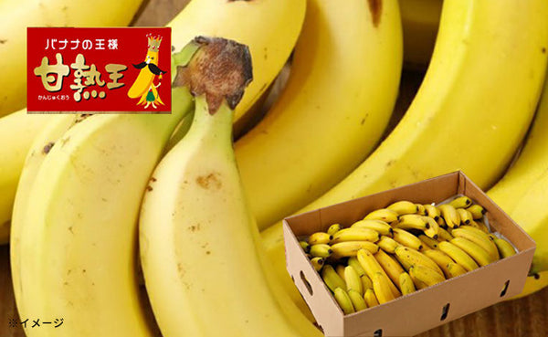 「業務用 訳あり甘熟王バナナ」