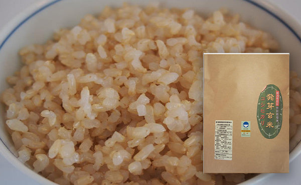 新潟県産「発芽玄米コシヒカリ」