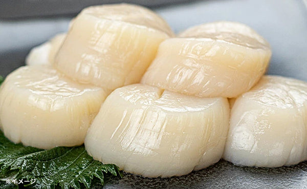 北海道産「特大ホタテ」