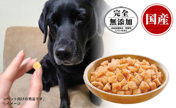 ニューグリーン「ふわっとひとくちササミ（野菜入り）」