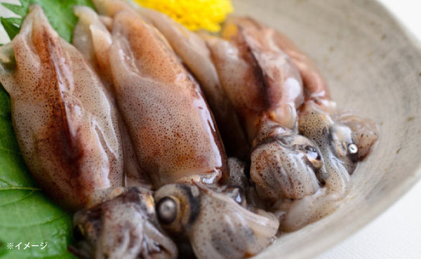 兵庫県産「生ホタルイカ」
