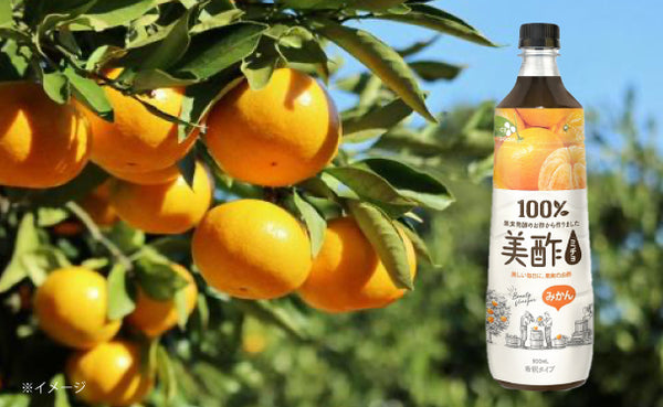 「美酢 みかん 希釈タイプ」