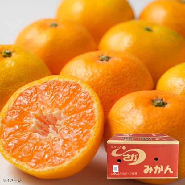 佐賀県産「唐津みかん S～3Lサイズ」