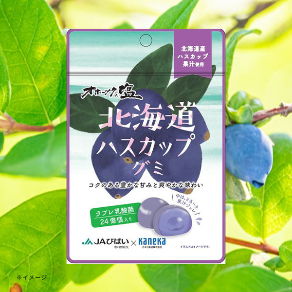 「北海道ハスカップグミ ラブレ乳酸菌入」