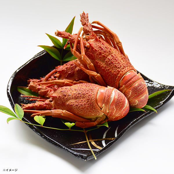「ロブスター（味付）」