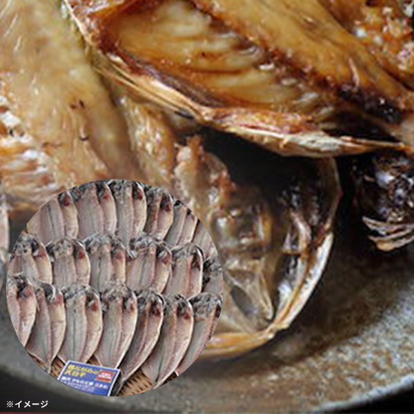 「国産アジの干物」