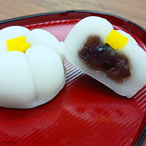 「花もち（白梅）」