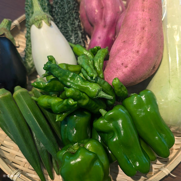 「旬の房総野菜詰め合わせ」