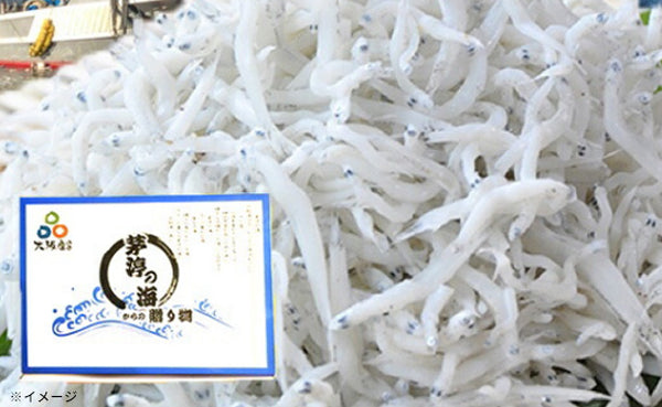 「朝獲れ直送 釜揚げしらす」
