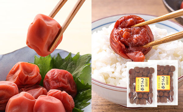「紀州南高梅 つぶれ梅 Lサイズ はちみつ味（塩分7%）」