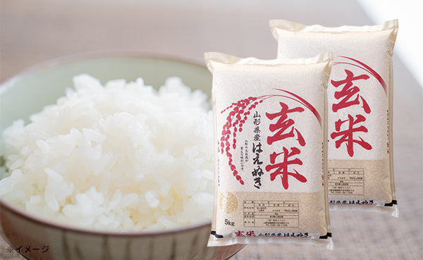 山形県産「はえぬき 玄米」