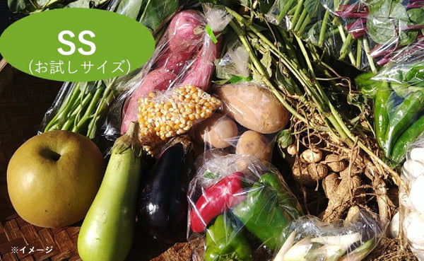 「千葉県産 野菜ボックス SSサイズ（お試しサイズ）」