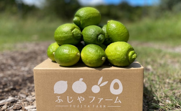 大崎上島産「雹被害の訳ありレモン（農薬：栽培期間中不使用）」2kg（15個程度）