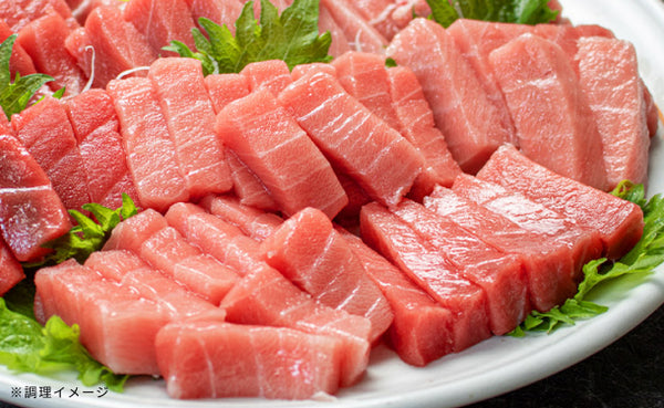 「本マグロ訳あり中トロ」