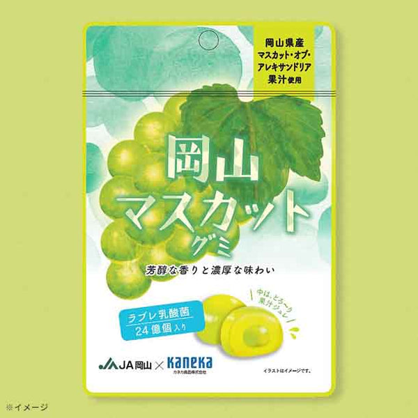 「岡山マスカットグミ ラブレ乳酸菌入」