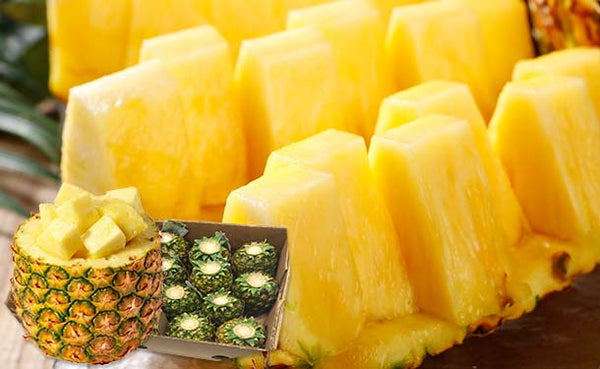 フィリピン産「小玉パイナップル（葉無し）」
