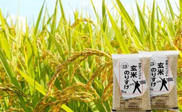「玄米のりすけ」