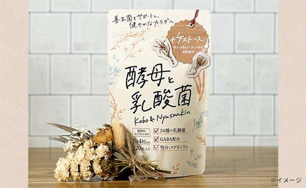 「酵母と乳酸菌」