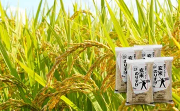 「玄米のりすけ」