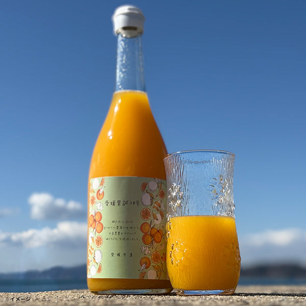 愛媛県産「愛媛果試28号（紅マドンナ）のみを絞ったみかんジュース」720ml×2本【クラチャレふるさとだより】