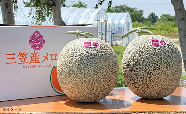 北海道三笠市産「赤肉メロン」3～5玉（約3.5kg）【クラチャレふるさとだより】