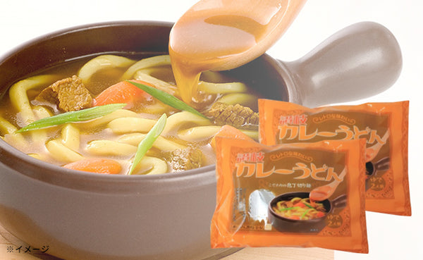 「讃岐カレーうどん（2食入）」