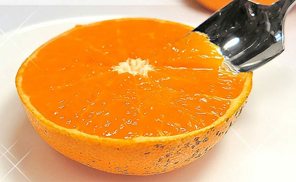 愛媛県産「訳あり せとか（S〜4L）」