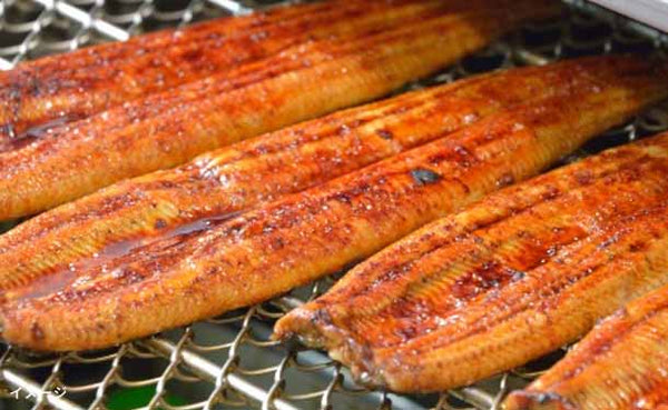 「宮崎県産 うなぎ蒲焼」