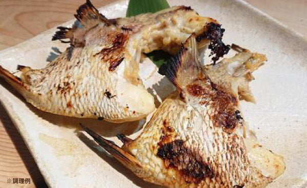 「百年漁師の真鯛 カマ（サイズ不揃い）」
