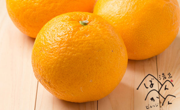 愛媛県産「甘夏柑（L-3L）」