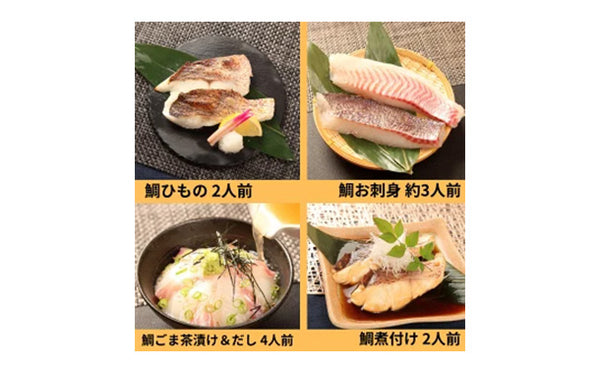 「沼津マダイ5種セット」